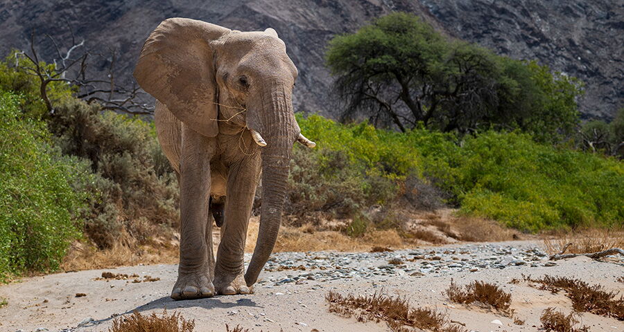 Namibia – Classic Adventure Namibia