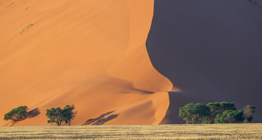 Namibia: Namibwüste,Damaraland und Etosha Nationalpark(2026_264_G_Web#1)