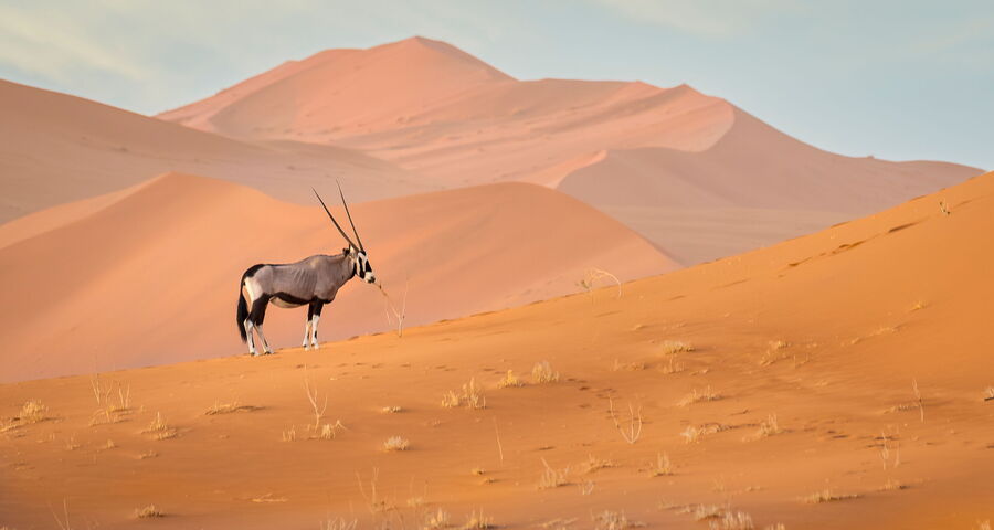 Selbstfahrer Namibia - Highlights (Ref:  2026 _264_SD_G_16T_Web#20)